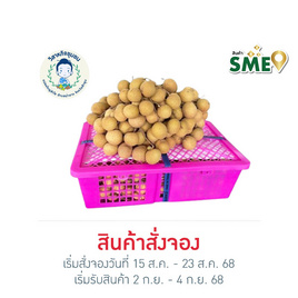 ลำไยสดพันธุ์อีดอ 3 กิโลกรัม อ. ป่าซาง จ. ลำพูน - วิสาหกิจชุมชนแปลงใหญ่ลำไย ต.ป่าซาง จ. ลำพูน, ผลไม้สด