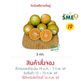 ไร่ชรินทร์พรรณ ส้มสายน้ำผึ้ง กล่อง 3 กก. - ไร่ชรินทร์พรรณ, ผักและผลไม้