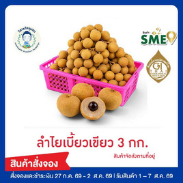 ลำไยสดพันธุ์เบี้ยวเขียว 3 กก. แปลงใหญ่ลำพูน - วิสาหกิจชุมชนแปลงใหญ่ลำไย ต.ป่าซาง จ. ลำพูน