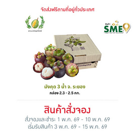 สวนเจริญทรัพย์ มังคุด 3 น้ำ ระยอง คละไซซ์ กล่อง 2.3-2.5 กิโลกรัม - สวนเจริญทรัพย์, ผลไม้สด