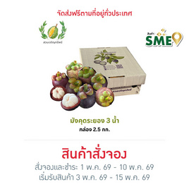 สวนเจริญทรัพย์ มังคุด 3 น้ำ ระยอง คละไซซ์ กล่อง 2.3-2.5 กิโลกรัม - สวนเจริญทรัพย์, ผลไม้สด
