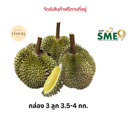 ทุเรียนกระดุม กล่อง 3 ลูก 3.5 - 4 กก. สวนเจ้าพายุ จ.จันทบุรี - สวนเจ้าพายุ, Durian Festival 2025