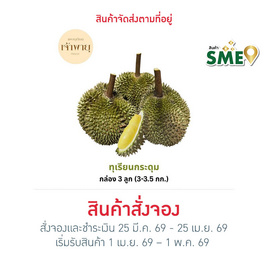 สวนเจ้าพายุ ทุเรียนกระดุม กล่อง 3 ลูก (3.5 - 4 กก.) - สวนเจ้าพายุ, อาหารสด ผัก ผลไม้และเบเกอรี่