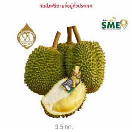 ทุเรียนหลงลับแล กล่อง 3-4 ลูก (3.5 กก.) สวนคำลับแล จ.อุตรดิตถ์ - สวนคำลับแล, อาหารสด ผัก ผลไม้และเบเกอรี่
