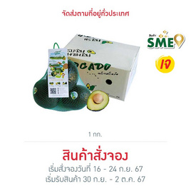 ไร่ชรินทร์พรรณ อะโวคาโด พันธุ์พื้นเมือง 3-5 ลูก/กก. - ไร่ชรินทร์พรรณ, 7Online