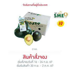 ไร่ชรินทร์พรรณ อะโวคาโด พันธุ์พื้นเมือง 3-5 ลูก/กก. - ไร่ชรินทร์พรรณ, ซูเปอร์มาร์เก็ต