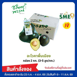 ไร่ชรินทร์พรรณ อะโวคาโดพันธุ์พื้นเมือง (3-5ลูก/กก.) กล่อง 2 กิโลกรัม - ไร่ชรินทร์พรรณ, คัดสรรความสดใหม่ มอบแด่คุณแม่