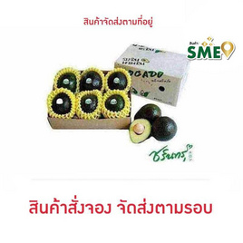 อะโวคาโด พันธุ์พื้นเมือง 3 kg ไร่ชรินทร์พรรณ - ไร่ชรินทร์พรรณ, ผักและผลไม้