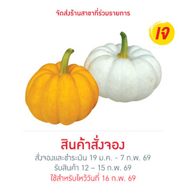 ชุดฟักทองแฟนซี 400 กรัม - No Brands, ผลไม้ตามเทศกาล