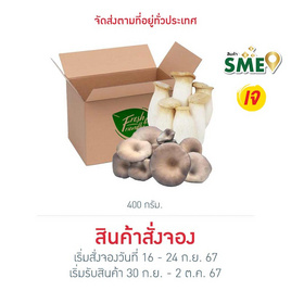 ชุดเห็ดรวมออร์แกนิค (ออรินจิ,นางฟ้าภูฐาน) 400 ก. - เฟรช แอนด์ เฟรนด์ลีฟาร์ม, สินค้าใหม่อาหารสด