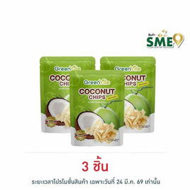 กรีนวิลล์ มะพร้าวอบกรอบรสดั้งเดิม 40 กรัม - กรีนวิลล์, ผลไม้อบแห้ง