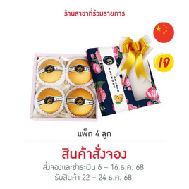 กิฟท์เซตสาลี่หิมะ (แพ็ก 4 ลูก) - No Brands