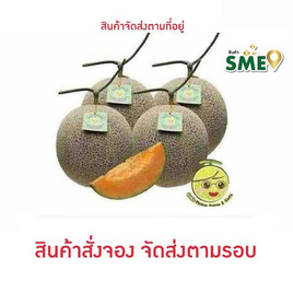 โคโค่ เมล่อนฟาร์ม เมล่อนโฮชิออเร้นจ์ สีส้ม 4 ลูก - Coco Melon Farm, ผลไม้สด