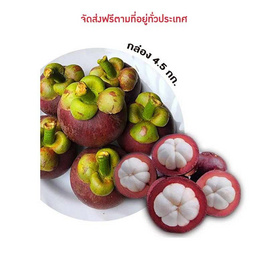 สวนทวีทรัพย์ มังคุดคละไซส์ 4.5 กก. - สวนทวีทรัพย์ จ.ชุมพร, ผักและผลไม้