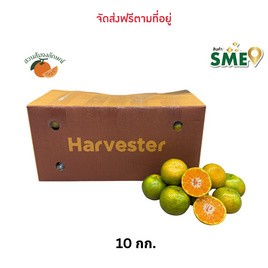 ส้มสายน้ำผึ้งฝาง เบอร์ 4+5 10 กก. สวนส้มจงลักษณ์ จ.เชียงใหม่ - สวนส้มจงลักษณ์, อาหารสด ผัก ผลไม้และเบเกอรี่