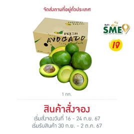 ไร่ชรินทร์พรรณ อะโวคาโด พันธุ์ปีเตอร์สัน 4-6 ลูก/กก. - ไร่ชรินทร์พรรณ, อาหารสด ผัก ผลไม้และเบเกอรี่