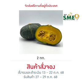 ไร่ชรินทร์พรรณ ฟักทองญี่ปุ่นมินิ (4-6 ลูก/kg.) ฮาโลวีน - ไร่ชรินทร์พรรณ, อาหารสด ผัก ผลไม้และเบเกอรี่