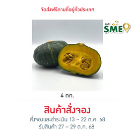 ไร่ชรินทร์พรรณ ฟักทองญี่ปุ่นมินิ (4-6 ลูก/kg.) ฮาโลวีน - ไร่ชรินทร์พรรณ, ผักและผลไม้