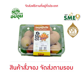 บ้านสวนอบอุ่น ละมุดสุโขทัย 500 ก. - บ้านสวนอบอุ่น