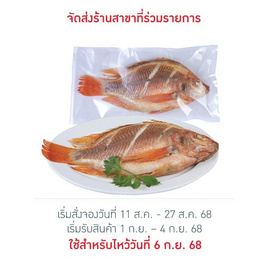 ปลาทับทิม 540 กรัม คิวเฟรช - คิวเฟรช, อาหารตามเทศกาล