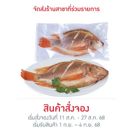 ปลาทับทิม 540 กรัม คิวเฟรช - คิวเฟรช, อาหารตามเทศกาล
