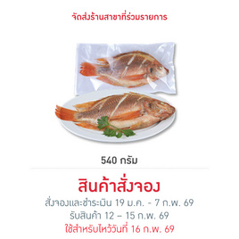 ปลาทับทิม 540 g. คิวเฟรช - คิวเฟรช, อาหารตามเทศกาล