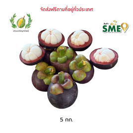 มังคุดคัดเกรด 5 กก. สวนเจริญทรัพย์ จ.ระยอง - สวนเจริญทรัพย์, ผลไม้สด