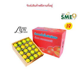 หลิวหลิวฟาร์ม ส้มสายน้ำผึ้ง 5 กก. - 40 ลูก - หลิวหลิวฟาร์ม, อาหารสด ผัก ผลไม้และเบเกอรี่