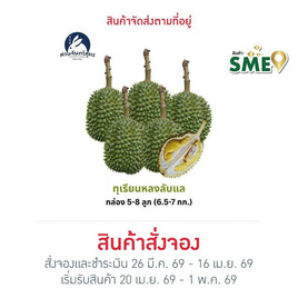 สวนจันทวิสูตร ทุเรียนหลงลับแล กล่อง 5-8 ลูก (6.5-7 กก.) - สวนจันทวิสูตร, สินค้าขายดี