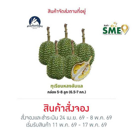 สวนจันทวิสูตร ทุเรียนหลงลับแล กล่อง 5-8 ลูก (6.5-7 กก.) - สวนจันทวิสูตร, ผลไม้สด