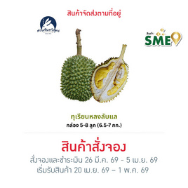 สวนจันทวิสูตร ทุเรียนหลงลับแล กล่อง 5-8 ลูก (6.5-7 กก.) - สวนจันทวิสูตร, ผักและผลไม้