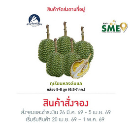 สวนจันทวิสูตร ทุเรียนหลงลับแล กล่อง 5-8 ลูก (6.5-7 กก.) - สวนจันทวิสูตร