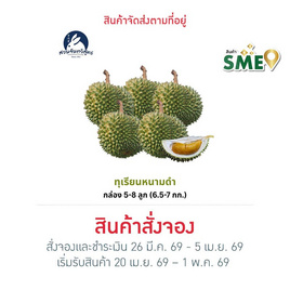 สวนจันทวิสูตร ทุเรียนหนามดำ กล่อง 5-8 ลูก (6.5-7 กก.) - สวนจันทวิสูตร