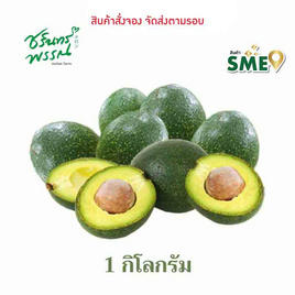ไร่ชรินทร์พรรณ อะโวคาโด สายพันธุ์ บูท7 - ไร่ชรินทร์พรรณ, อาหารสด ผัก ผลไม้และเบเกอรี่