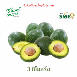 ไร่ชรินทร์พรรณ อะโวคาโด สายพันธุ์ บูท7 - ไร่ชรินทร์พรรณ, ผักและผลไม้