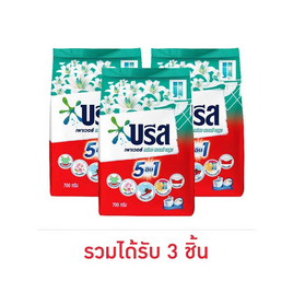 บรีสเพาเวอร์ ผงซักฟอก เฟรชแอนด์บลูม 700 กรัม - บรีส, ของใช้ภายในบ้าน