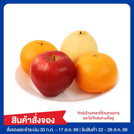 ชุดไหว้มินิมงคลทันใจ 700 กรัม - No Brands