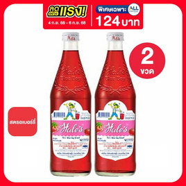 เฮลซ์บลูบอยกลิ่นสตรอเบอร์รี่ 710 มล. - เฮลซ์บลูบอย, น้ำเชื่อม/นมข้นหวาน