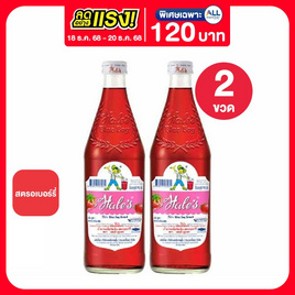 เฮลซ์บลูบอยกลิ่นสตรอเบอร์รี่ 710 มล. - เฮลซ์บลูบอย, น้ำเชื่อม/นมข้นหวาน