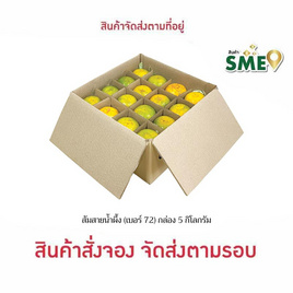 สวนร่มเกล้า ส้มสายน้ำผึ้ง เบอร์ 72 กล่อง 5 กก. - สวนร่มเกล้า, ผลไม้สด