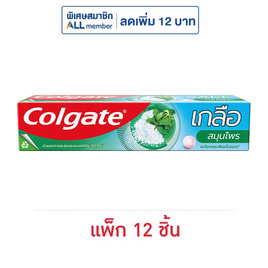 คอลเกต ยาสีฟัน เกลือสมุนไพร 75 กรัม (แพ็ก 12 ชิ้น) - Colgate, ความงามและสุขภาพ