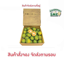 ส้มสายน้ำผึ้ง เบอร์ 84 กล่อง 5 กก. สวนร่มเกล้า - สวนร่มเกล้า, ผักและผลไม้