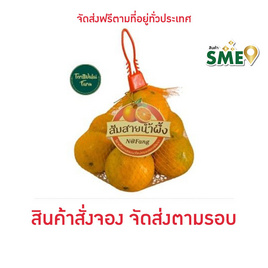 เทอดวลัยฟาร์ม ส้มสายน้ำผึ้ง ถุงตาข่าย 900 กรัม - เทอดวลัยฟาร์ม, 7Online