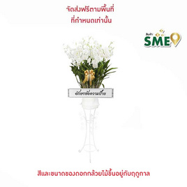 กล้วยไม้หวายกระถาง 9 นิ้ว พร้อมขา พร้อมป้ายข้อความ - AIR ORCHIDS, สังฆภัณฑ์และสินค้าเทศกาล