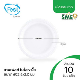 เฟสท์ จานกระดาษเฟสท์ ช้อยส์ 9 นิ้ว (แพ็ก 10 ชิ้น) - เฟสท์, อุปกรณ์เครื่องใช้ในครัวเรือน