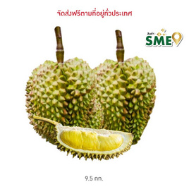 สวนทวีทรัพย์ ทุเรียนหมอนทองคละเกรด กล่อง 9.5 กก. - สวนทวีทรัพย์ จ.ชุมพร, อาหารสด ผัก ผลไม้และเบเกอรี่