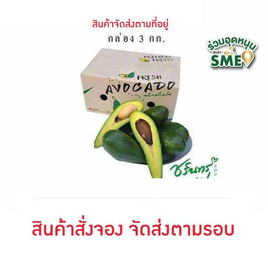 ไร่ชรินทร์พรรณ อะโวคาโดสายพันธุ์A034 เวียดนาม 3 kg - ไร่ชรินทร์พรรณ, ผักและผลไม้