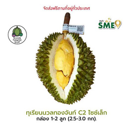 ทุเรียนนวลทองจันทร์ C2 ไซซ์เล็ก 1-2 ลูก (2.5-3 กก.) สวนทวีทรัพย์ จ.ชุมพร - สวนทวีทรัพย์ จ.ชุมพร, ผลไม้สด