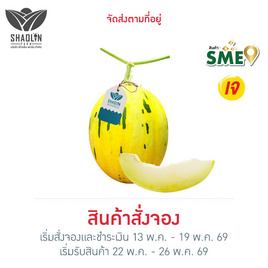 เส้าหลินฟาร์ม เมล่อนไดโนล่อน (Dinolon) สีขาว กล่อง 1 ลูก - เส้าหลินฟาร์ม