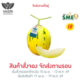 เส้าหลินฟาร์ม เมล่อนไดโนล่อน (Dinolon) สีขาว กล่อง 1 ลูก - เส้าหลินฟาร์ม